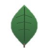 Quality Icon